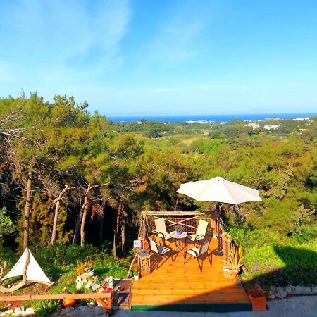 Villa Rene Κοσκινού Εξωτερικό φωτογραφία