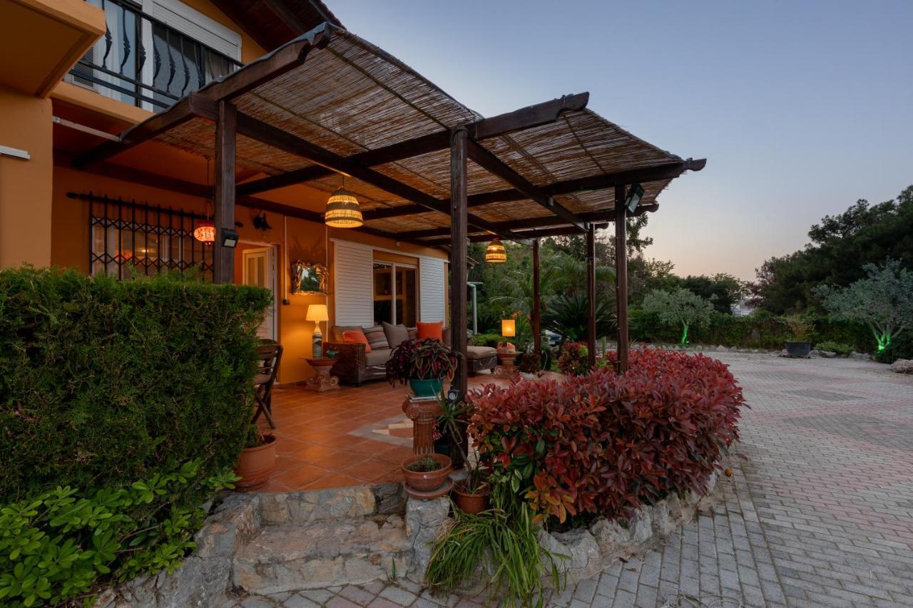 Villa Rene Κοσκινού Εξωτερικό φωτογραφία