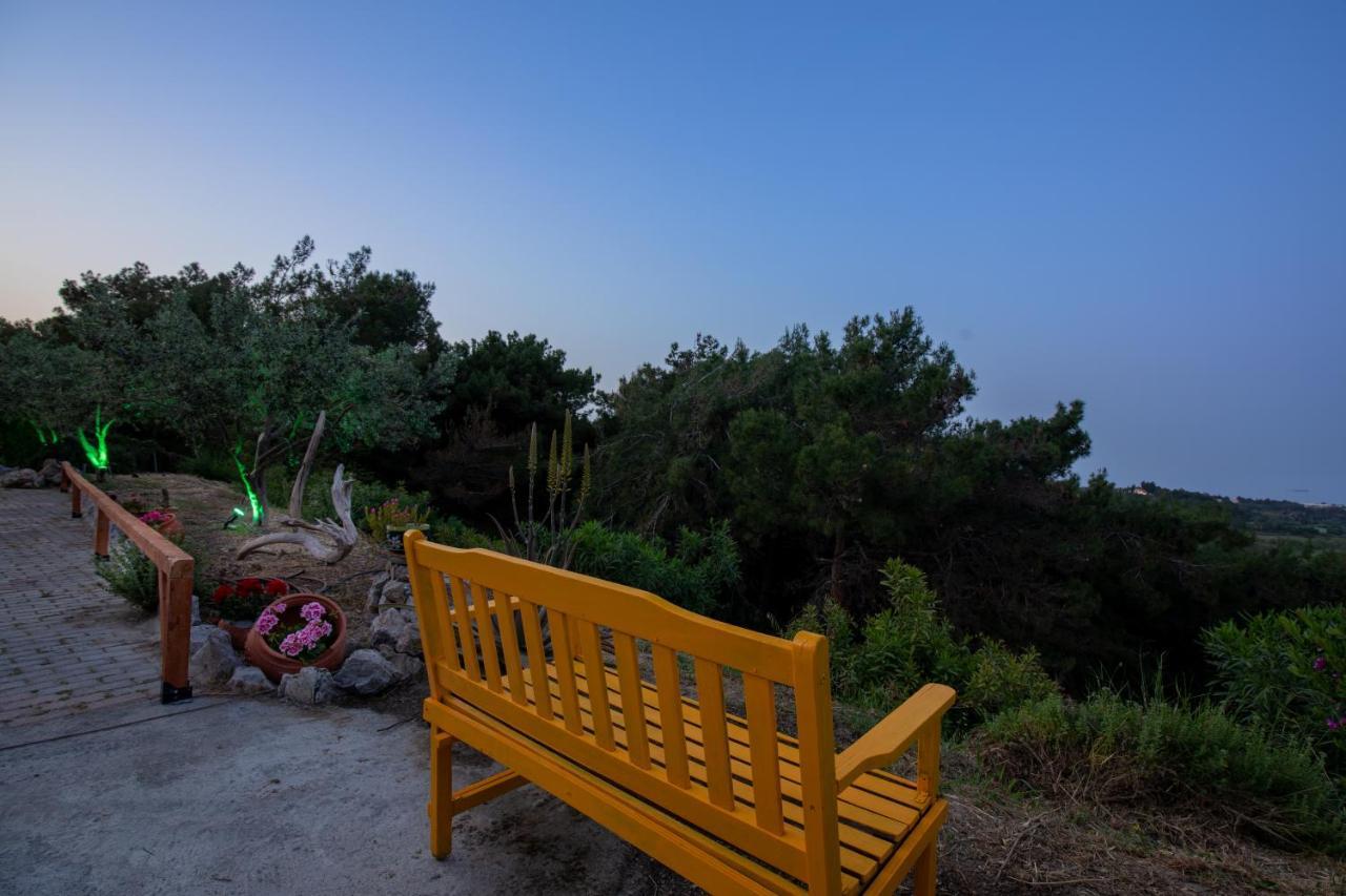 Villa Rene Κοσκινού Εξωτερικό φωτογραφία