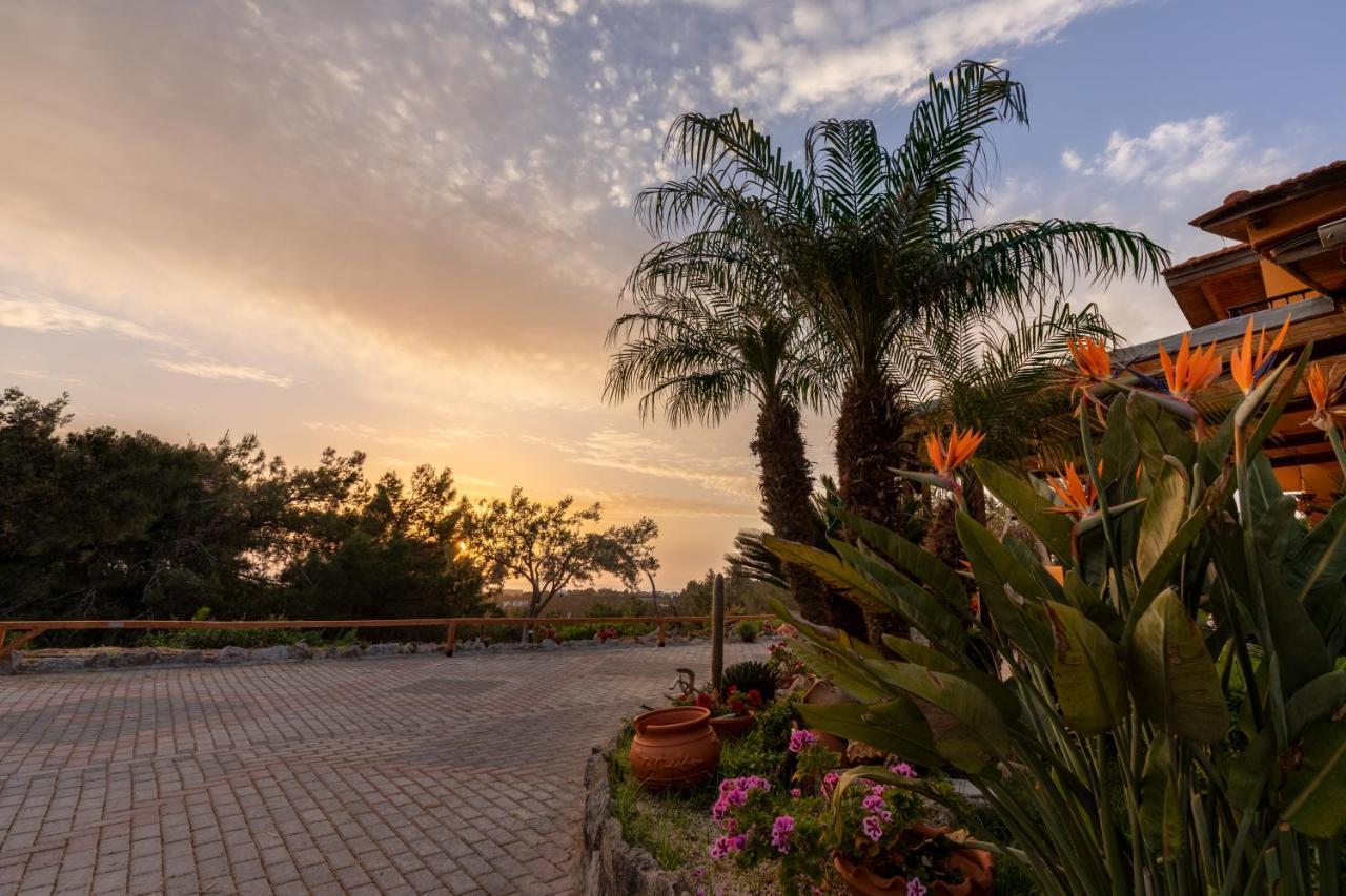 Villa Rene Κοσκινού Εξωτερικό φωτογραφία