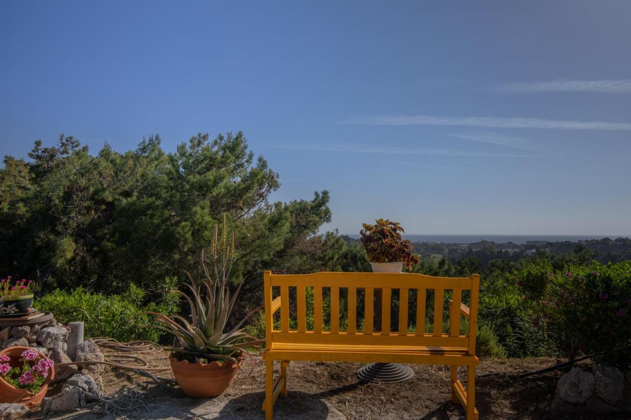 Villa Rene Κοσκινού Εξωτερικό φωτογραφία