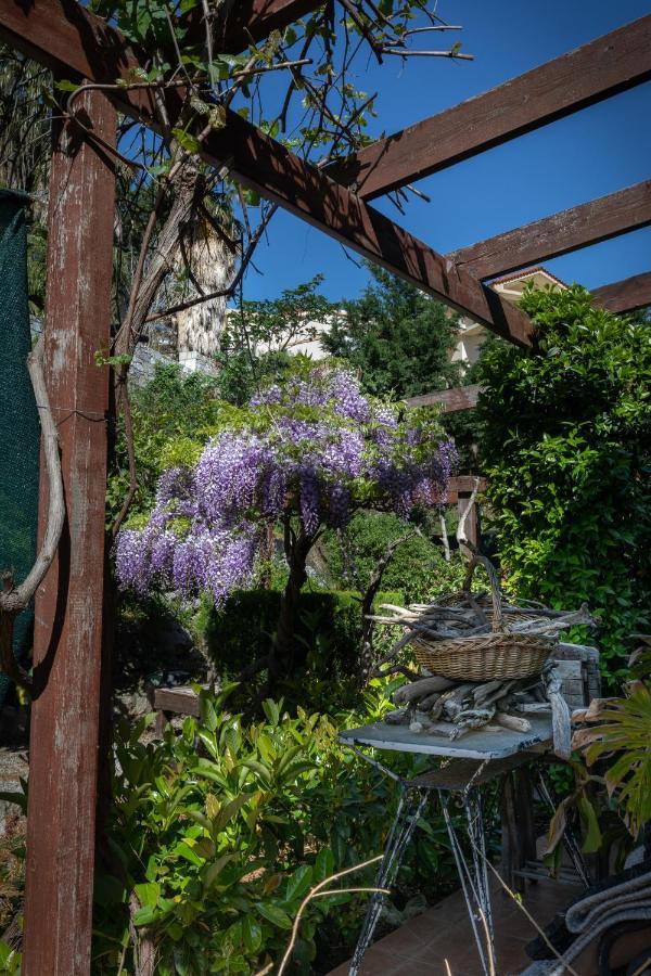 Villa Rene Κοσκινού Εξωτερικό φωτογραφία