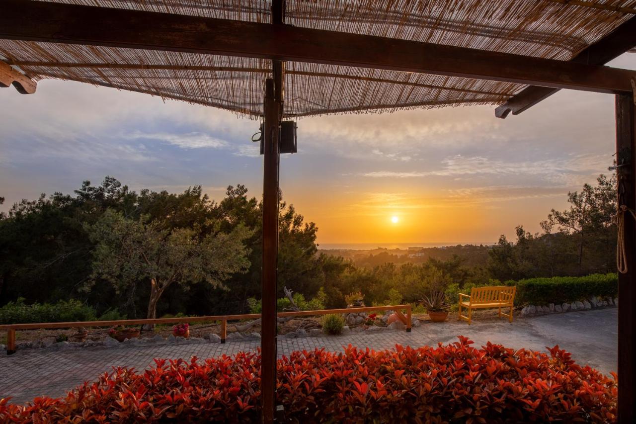 Villa Rene Κοσκινού Εξωτερικό φωτογραφία
