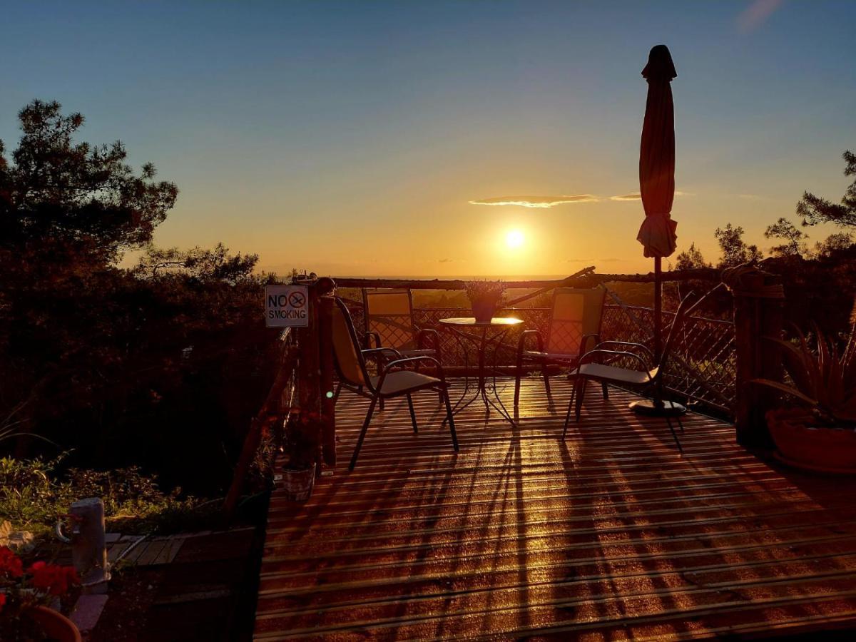 Villa Rene Κοσκινού Εξωτερικό φωτογραφία